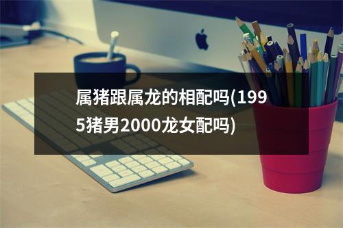 属猪跟属龙的相配吗(1995猪男2000龙女配吗)