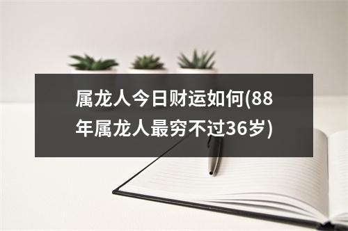 属龙人今日财运如何(88年属龙人穷不过36岁)