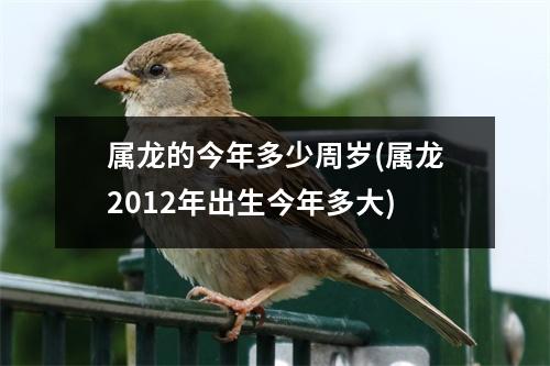 属龙的今年多少周岁(属龙2012年出生今年多大)