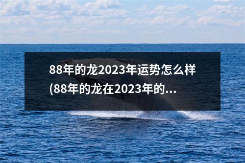 88年的龙2023年运势怎么样(88年的龙在2023年的运势怎么样)