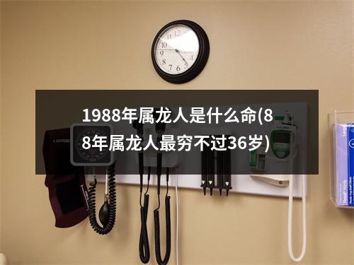 1988年属龙人是什么命(88年属龙人穷不过36岁)