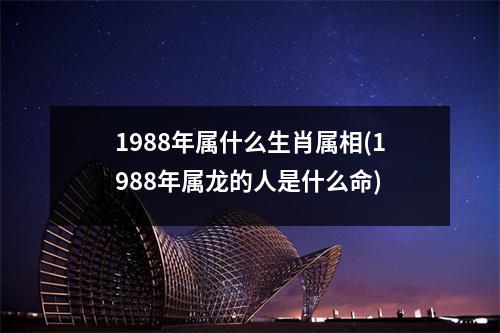 1988年属什么生肖属相(1988年属龙的人是什么命)