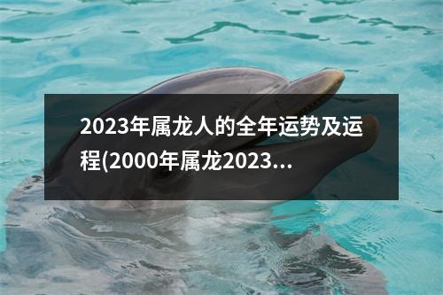 2023年属龙人的全年运势及运程(2000年属龙2023年考试运)