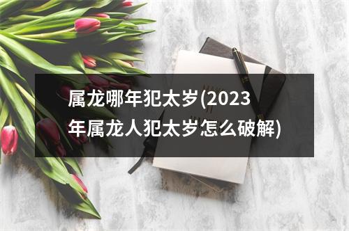 属龙哪年犯太岁(2023年属龙人犯太岁怎么破解)