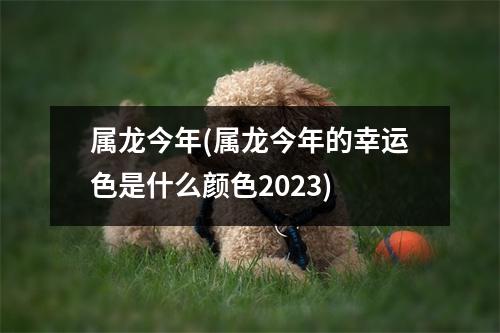 属龙今年(属龙今年的幸运色是什么颜色2023)