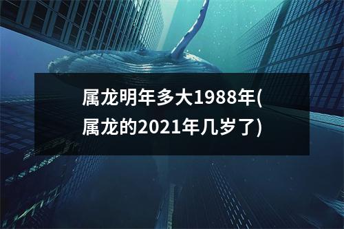 属龙明年多大1988年(属龙的2021年几岁了)