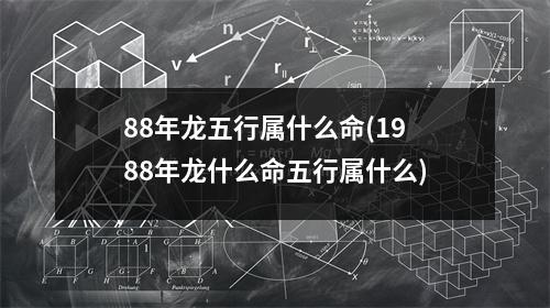 88年龙五行属什么命(1988年龙什么命五行属什么)