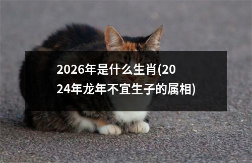 2026年是什么生肖(2024年龙年不宜生子的属相)