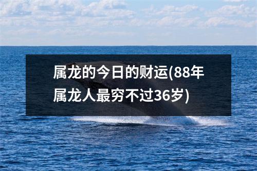 属龙的今日的财运(88年属龙人穷不过36岁)