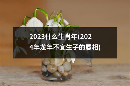 2023什么生肖年(2024年龙年不宜生子的属相)