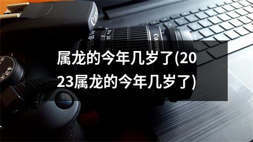 属龙的今年几岁了(2023属龙的今年几岁了)