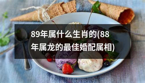 89年属什么生肖的(88年属龙的佳婚配属相)