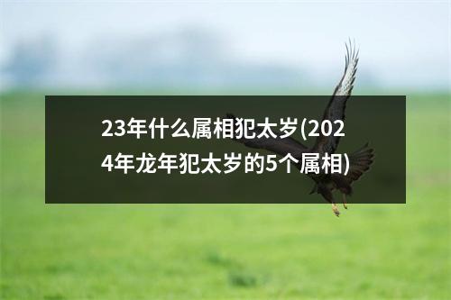 23年什么属相犯太岁(2024年龙年犯太岁的5个属相)