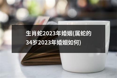 生肖蛇2023年婚姻(属蛇的34岁2023年婚姻如何)