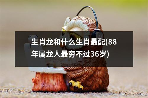 生肖龙和什么生肖配(88年属龙人穷不过36岁)