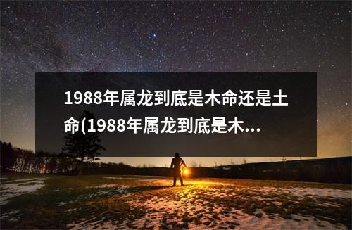 1988年属龙到底是木命还是土命(1988年属龙到底是木命还是土命)