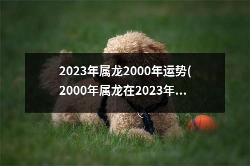 2023年属龙2000年运势(2000年属龙在2023年的事业运)