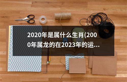 2020年是属什么生肖(2000年属龙的在2023年的运势)