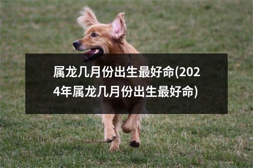 属龙几月份出生好命(2024年属龙几月份出生好命)