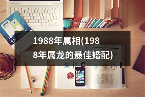 1988年属相(1988年属龙的佳婚配)