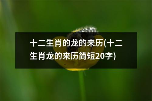 十二生肖的龙的来历(十二生肖龙的来历简短20字)