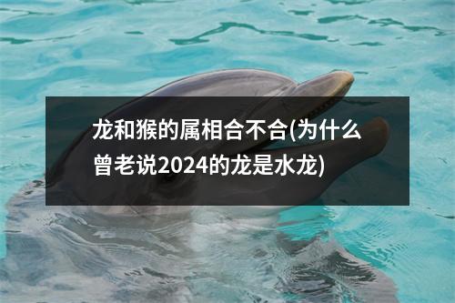 龙和猴的属相合不合(为什么曾老说2024的龙是水龙)