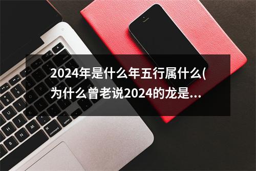 2024年是什么年五行属什么(为什么曾老说2024的龙是水龙)