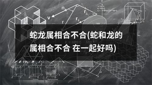 蛇龙属相合不合(蛇和龙的属相合不合 在一起好吗)