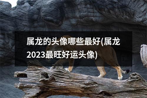 属龙的头像哪些好(属龙2023旺好运头像)