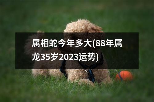 属相蛇今年多大(88年属龙35岁2023运势)