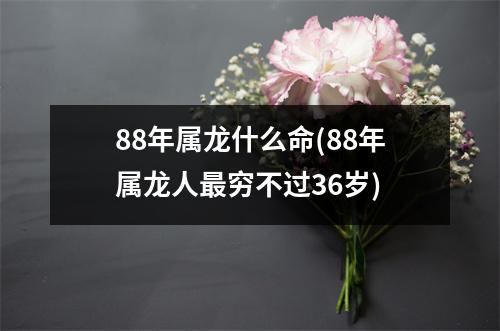 88年属龙什么命(88年属龙人穷不过36岁)