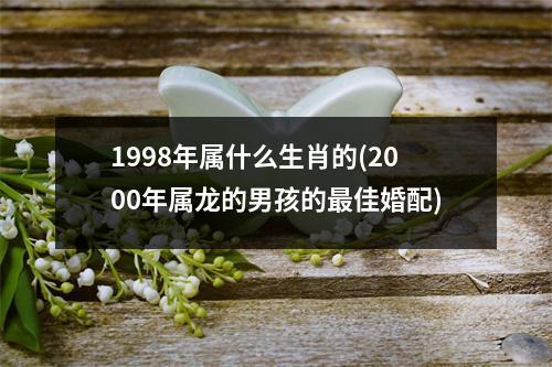 1998年属什么生肖的(2000年属龙的男孩的佳婚配)