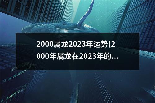 2000属龙2023年运势(2000年属龙在2023年的事业运)