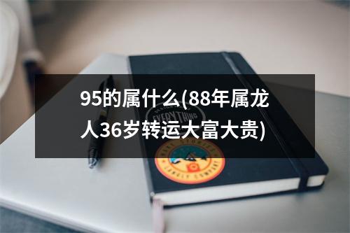 95的属什么(88年属龙人36岁转运大富大贵)