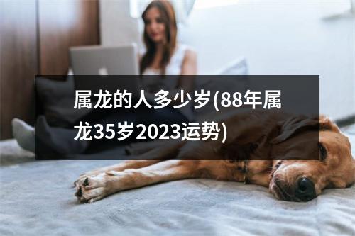 属龙的人多少岁(88年属龙35岁2023运势)