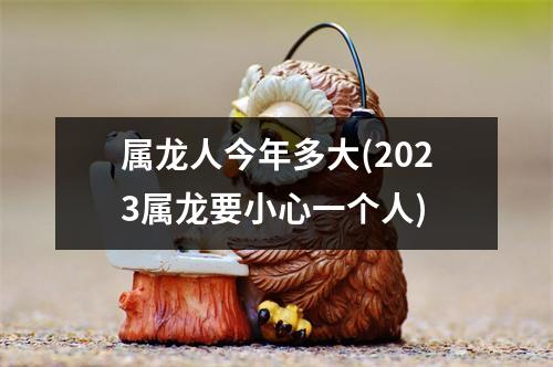 属龙人今年多大(2023属龙要小心一个人)