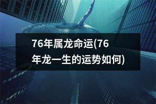 76年属龙命运(76年龙一生的运势如何)