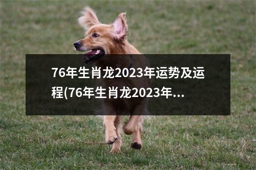 76年生肖龙2023年运势及运程(76年生肖龙2023年运势及运程详解)