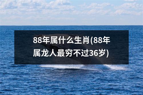 88年属什么生肖(88年属龙人穷不过36岁)