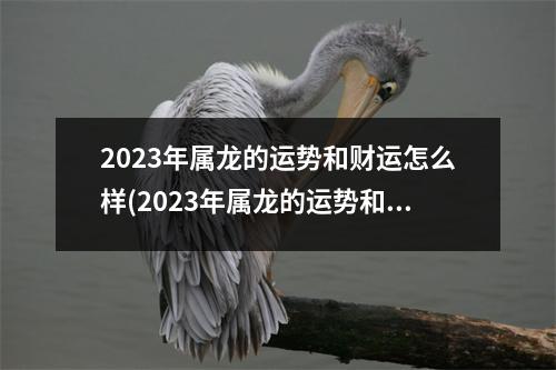 2023年属龙的运势和财运怎么样(2023年属龙的运势和财运怎么样可以佩戴什么材质的首饰)