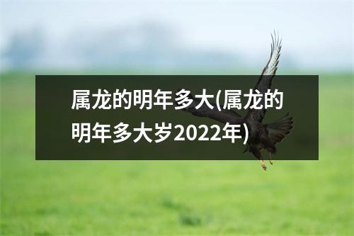 属龙的明年多大(属龙的明年多大岁2022年)