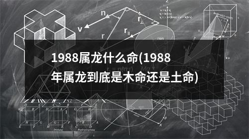 1988属龙什么命(1988年属龙到底是木命还是土命)