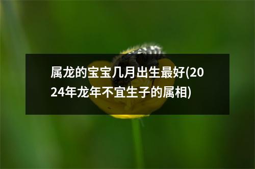 属龙的宝宝几月出生好(2024年龙年不宜生子的属相)