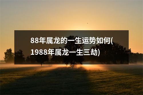 88年属龙的一生运势如何(1988年属龙一生三劫)