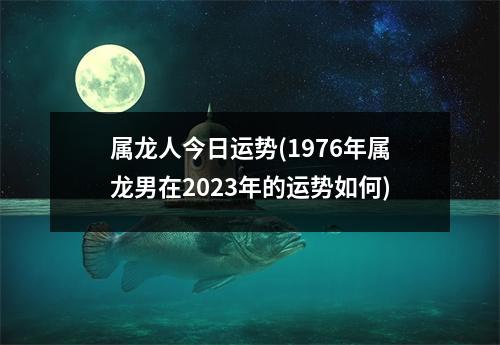 属龙人今日运势(1976年属龙男在2023年的运势如何)