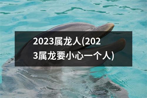 2023属龙人(2023属龙要小心一个人)