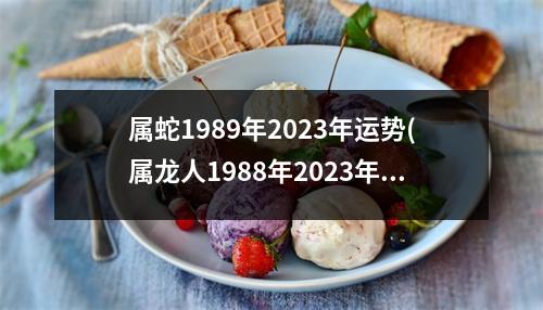 属蛇1989年2023年运势(属龙人1988年2023年全年运势详解)