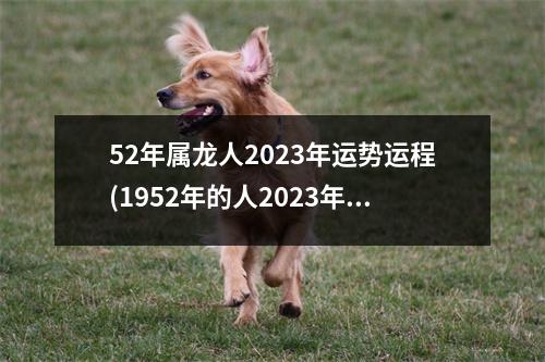 52年属龙人2023年运势运程(1952年的人2023年要死吗)