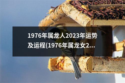 1976年属龙人2023年运势及运程(1976年属龙女2023年运势及运程)