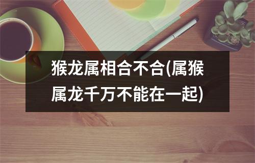 猴龙属相合不合(属猴属龙千万不能在一起)